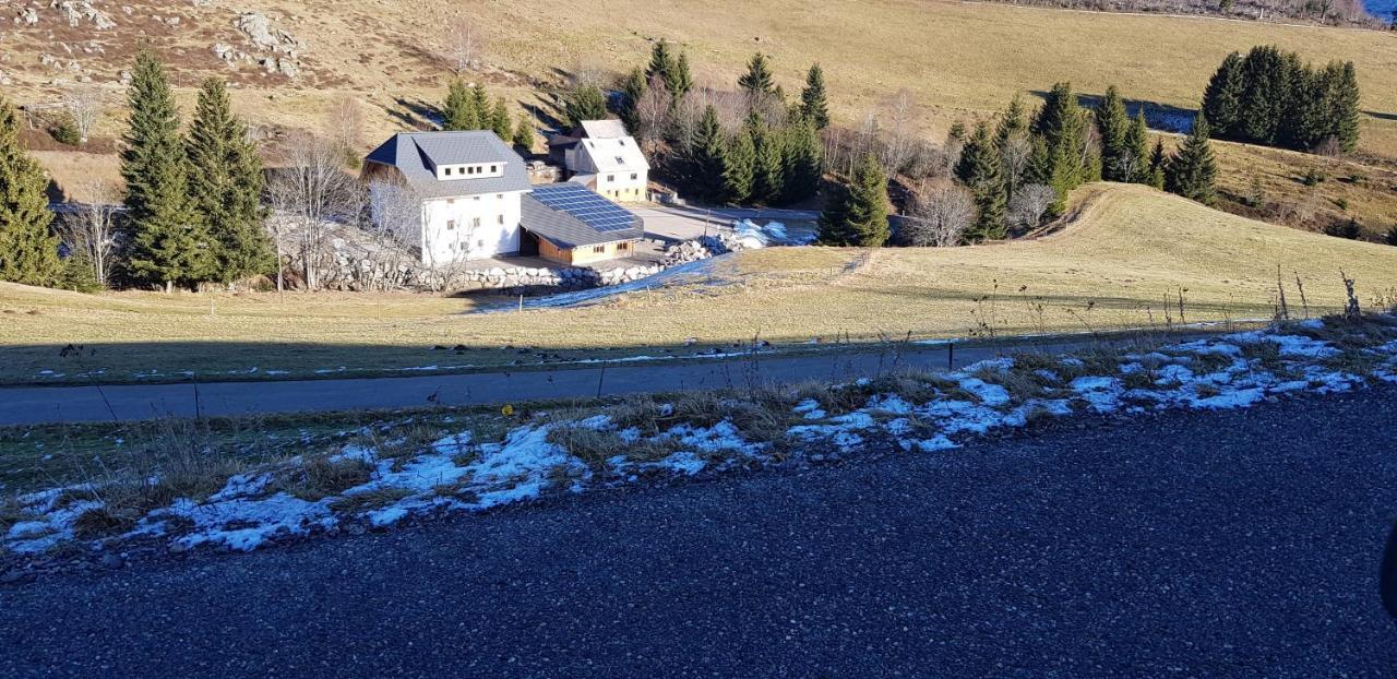 Ferienwohnung Natururlaub Muggenbrunn Todtnau Exterior photo